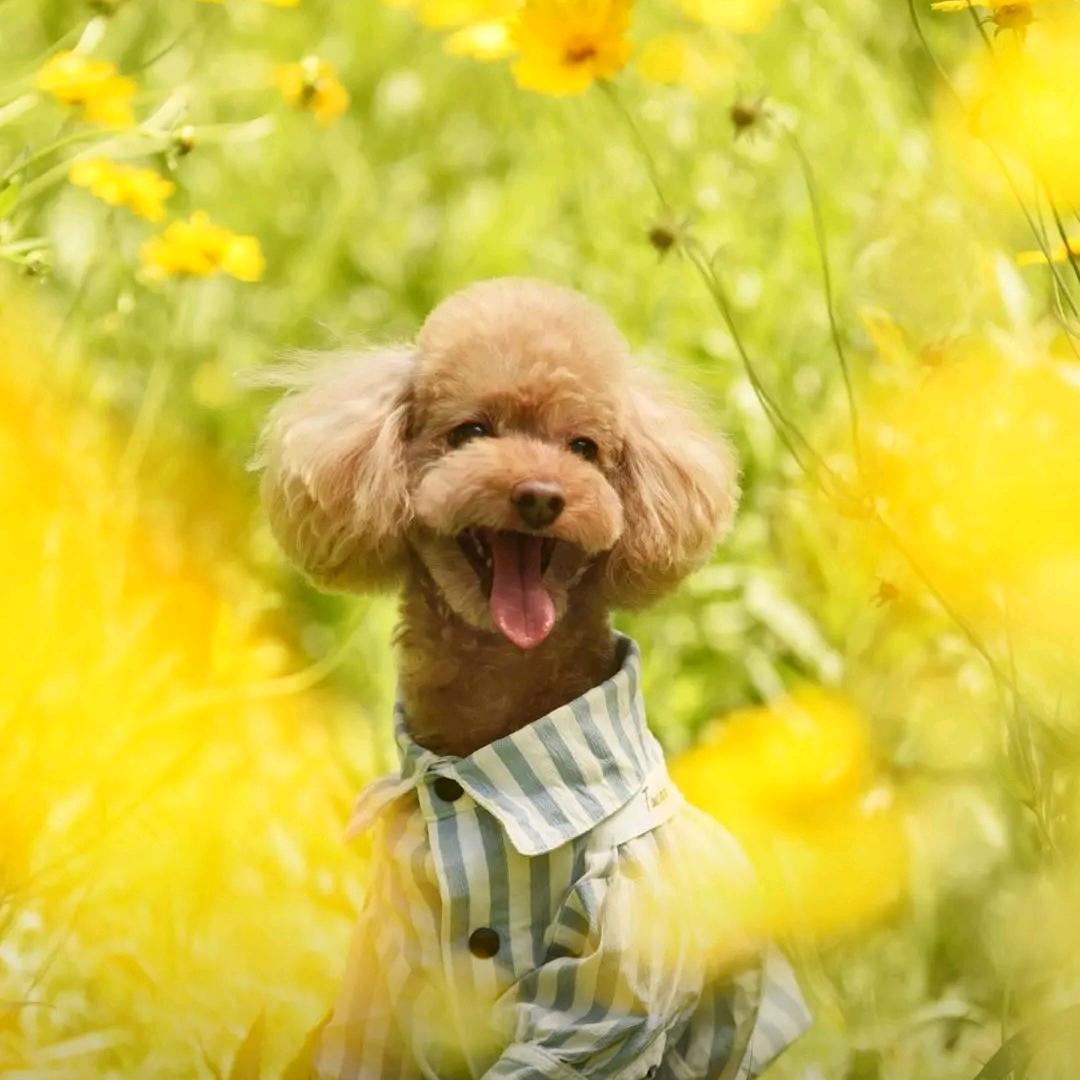 阳光明媚之新沂