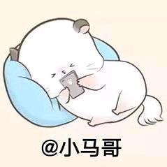 小马哥