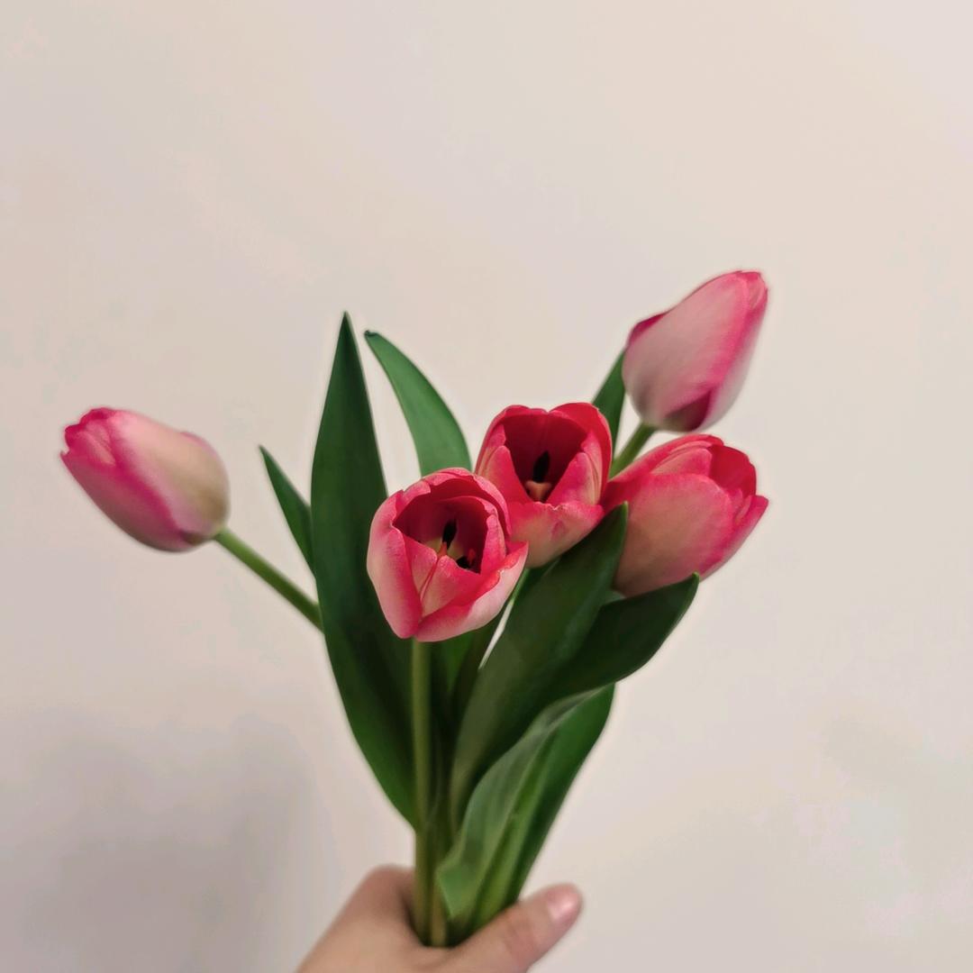 🌴🌴是凶-//   //\没/澎乒/