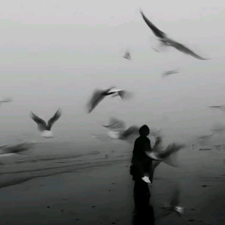 恨弃天真