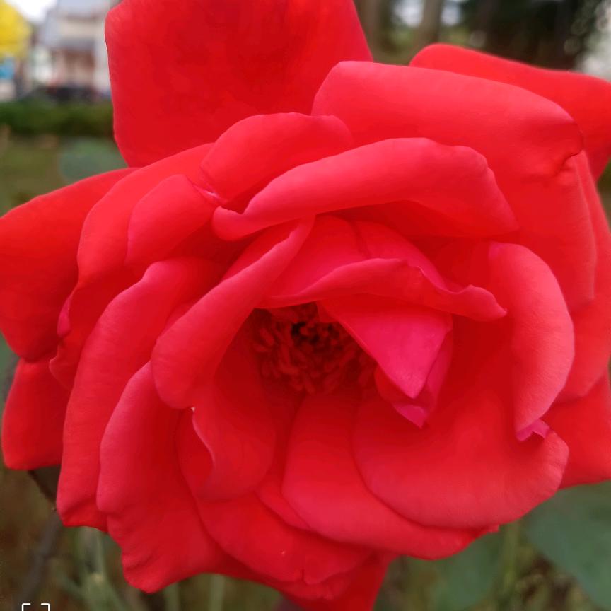 余生好好的爱自己。