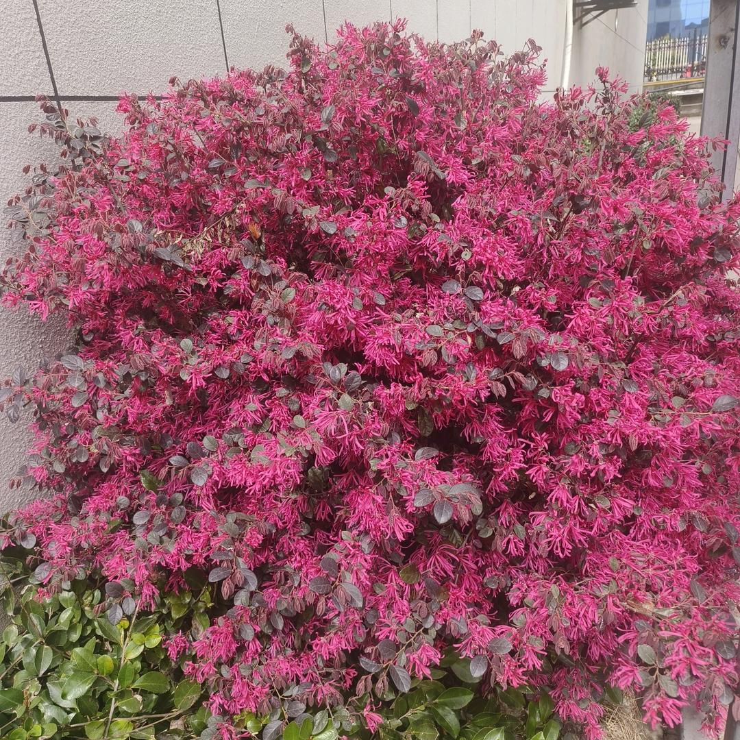 笑看♥╣[-_-]╠♥风云