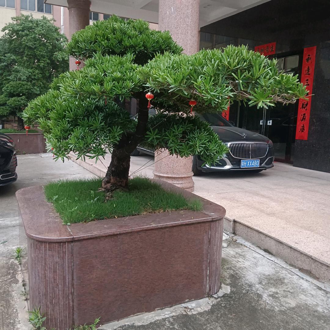 四川資中农村人伤不起