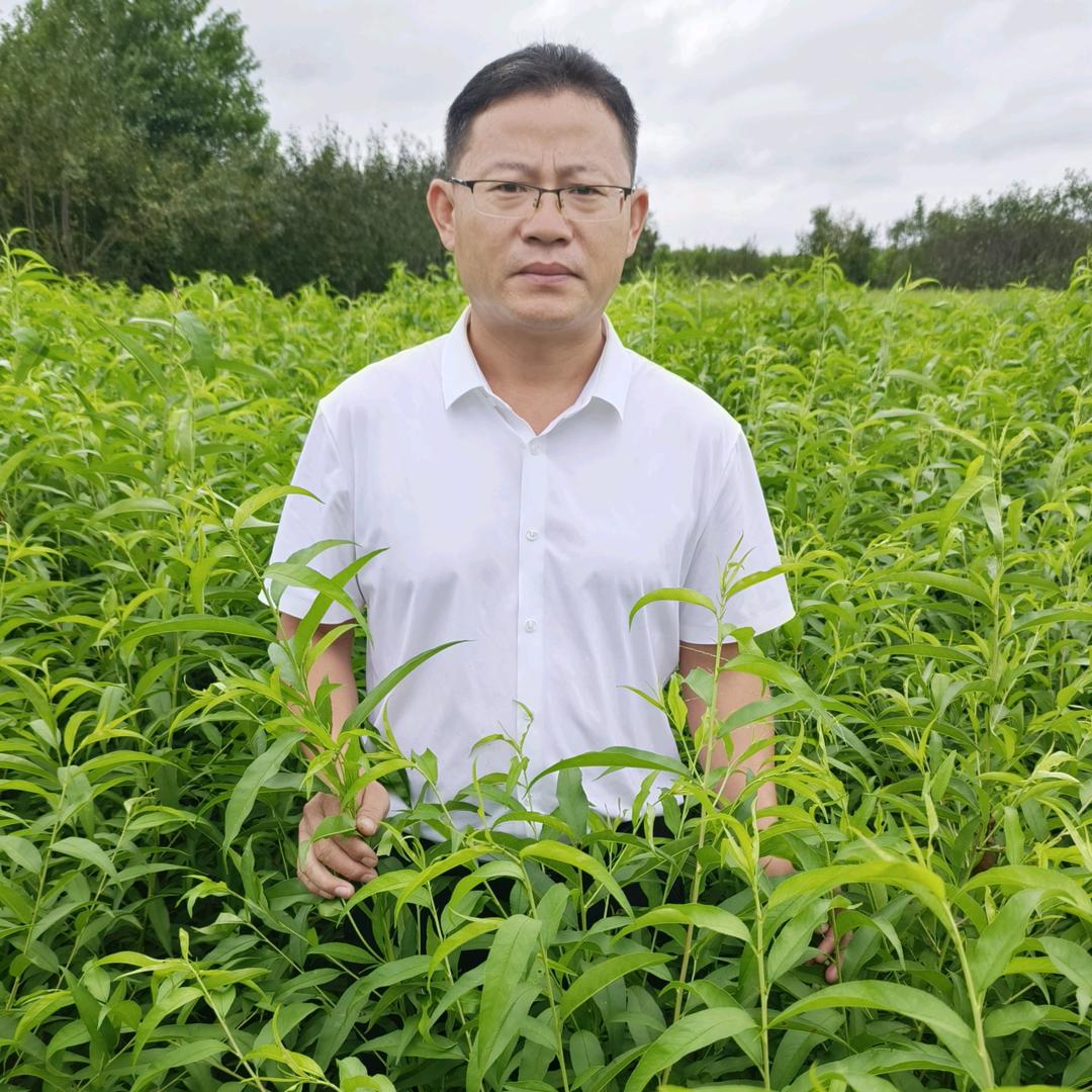 谷园绘金诚果树苗木专卖店