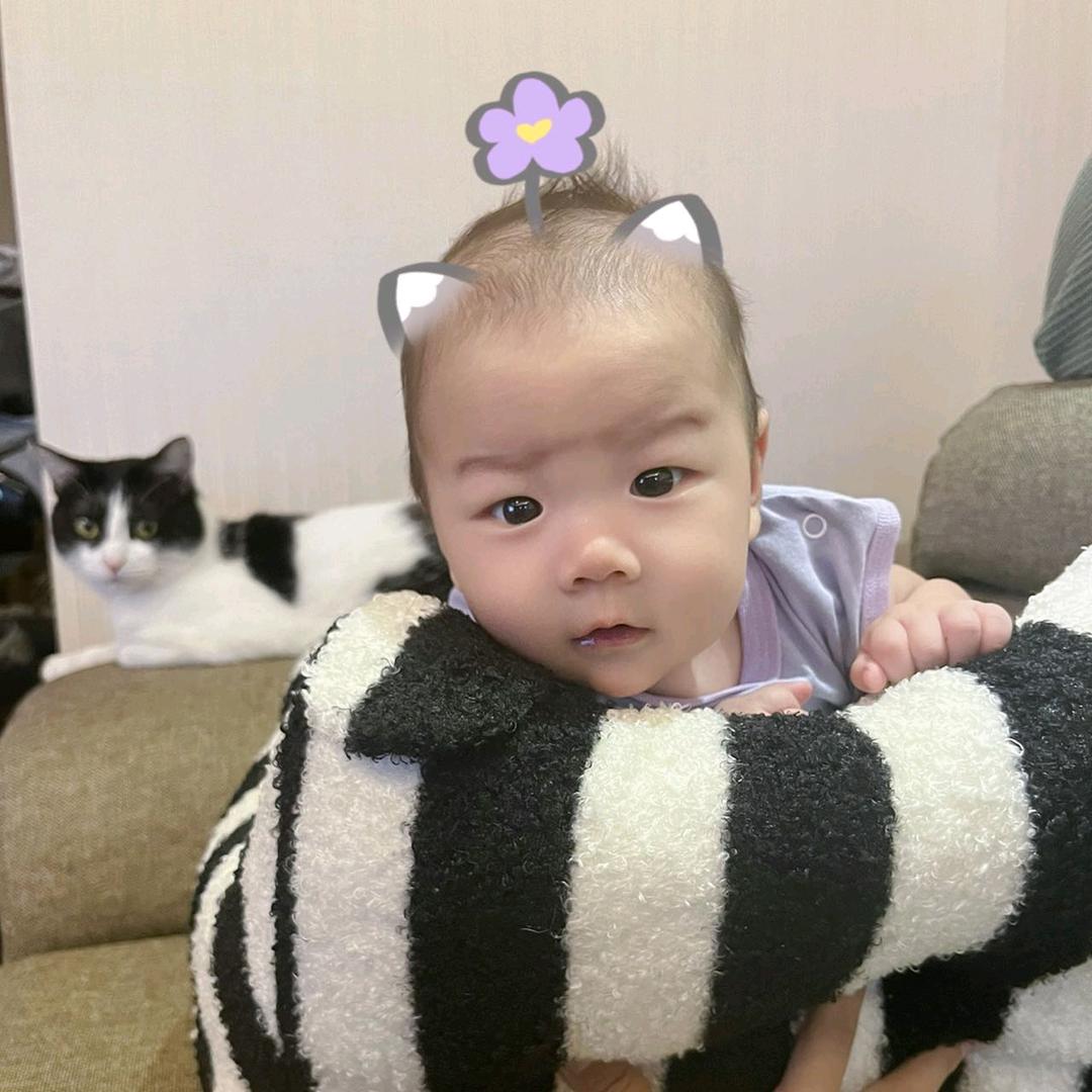 走不动的赖克宝