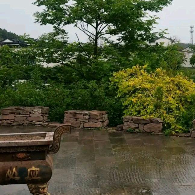 @🌿......🍂