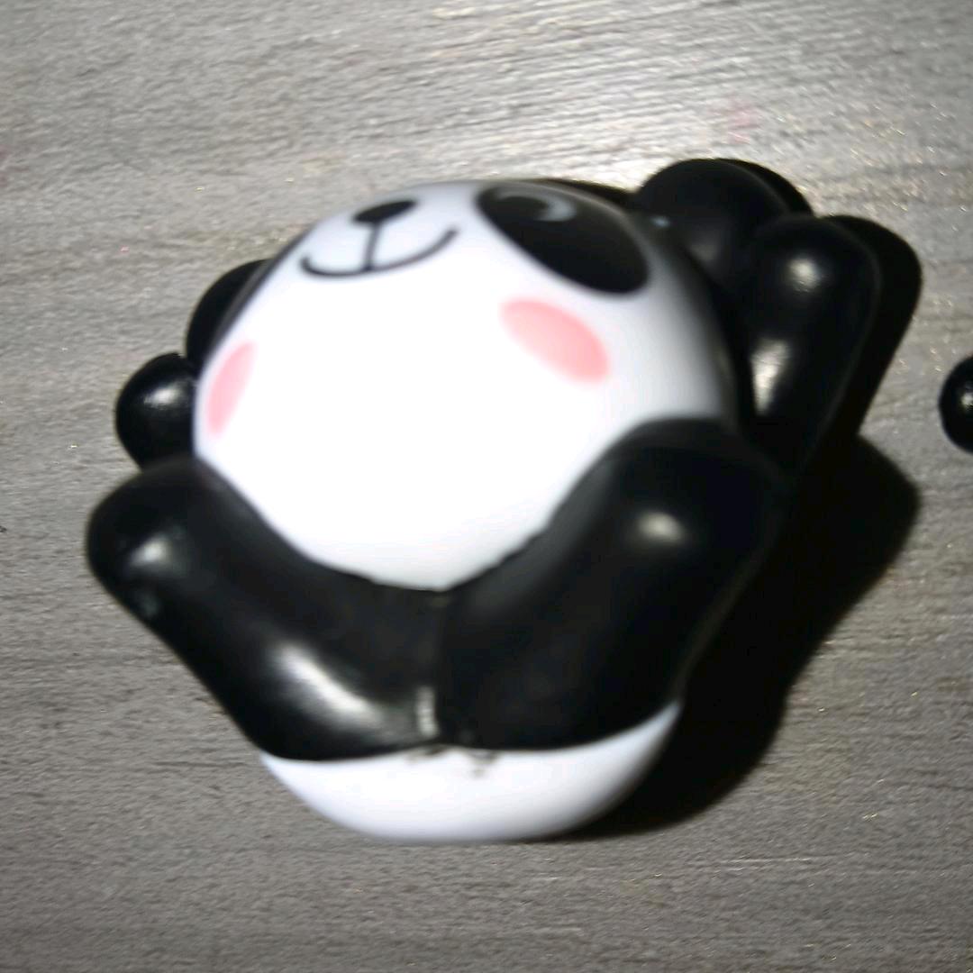 大熊猫的粉丝(已处闺👻)