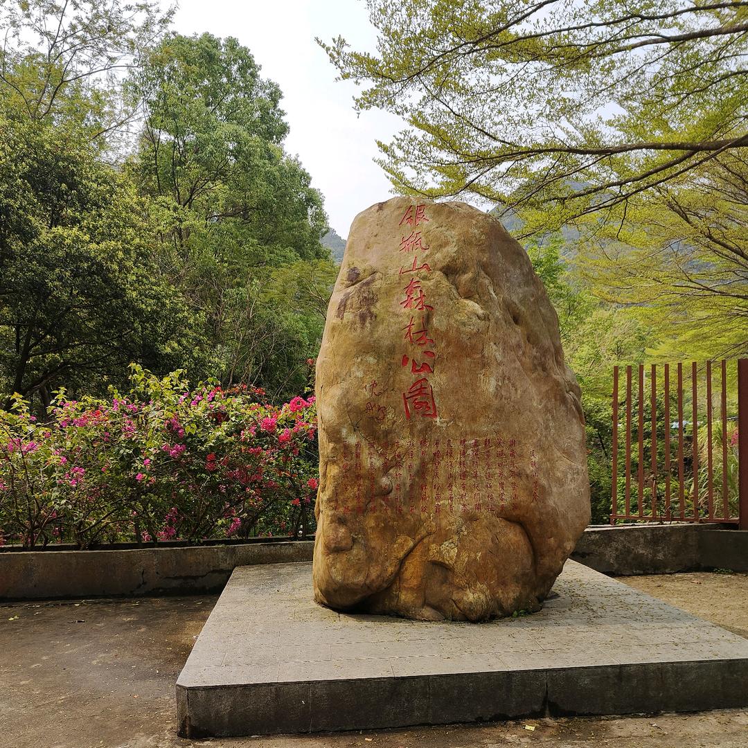 逍QMY遥ziZAI