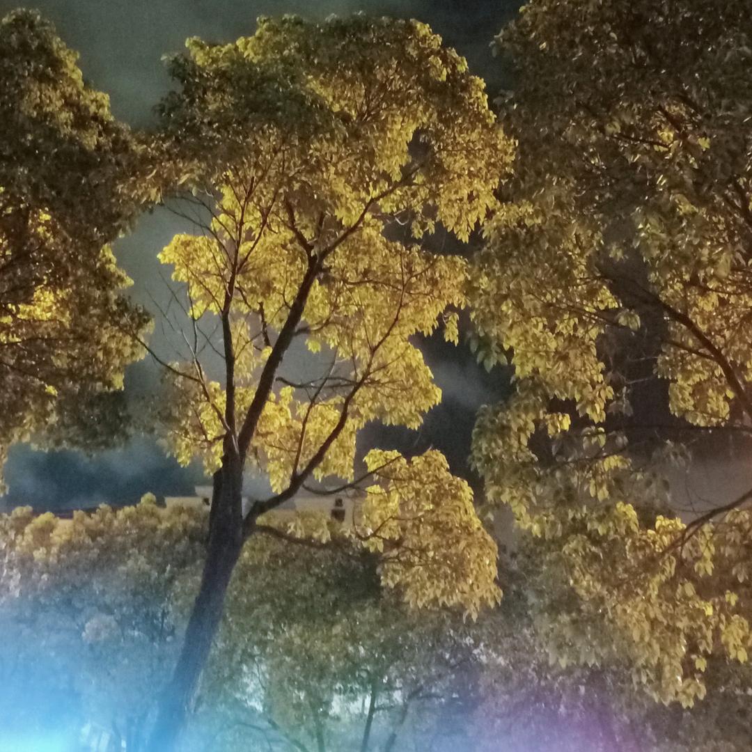 洗脚兽吖
