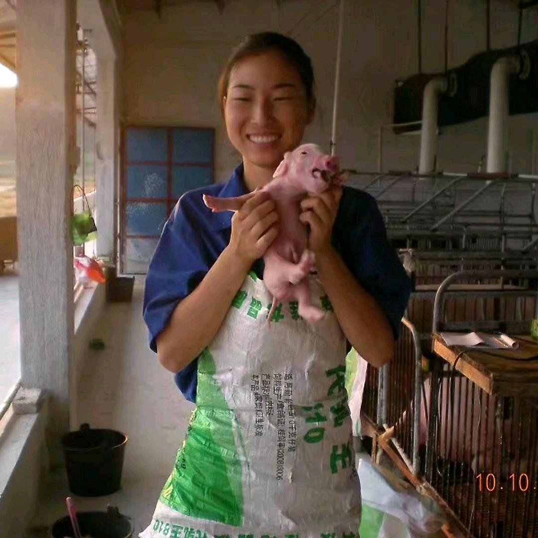 养猪妹小芳