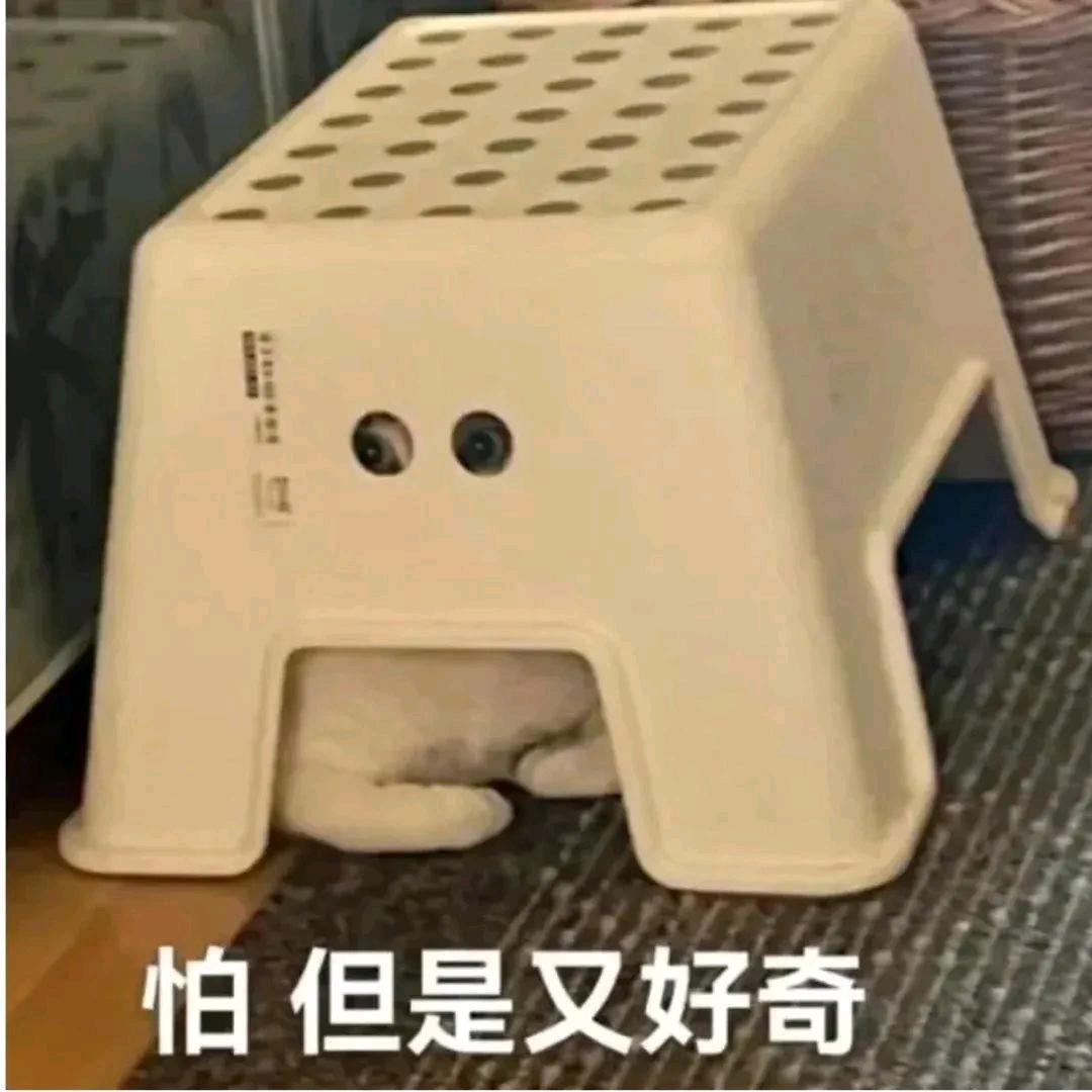 谁说我谁嘎嘣没头像