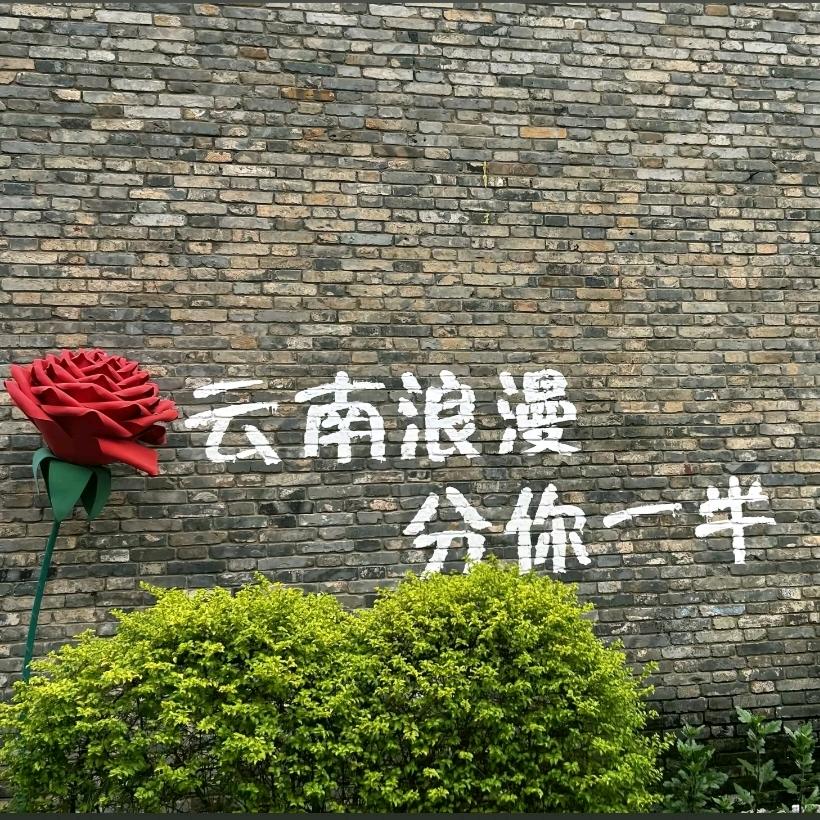 杨杨🉐意