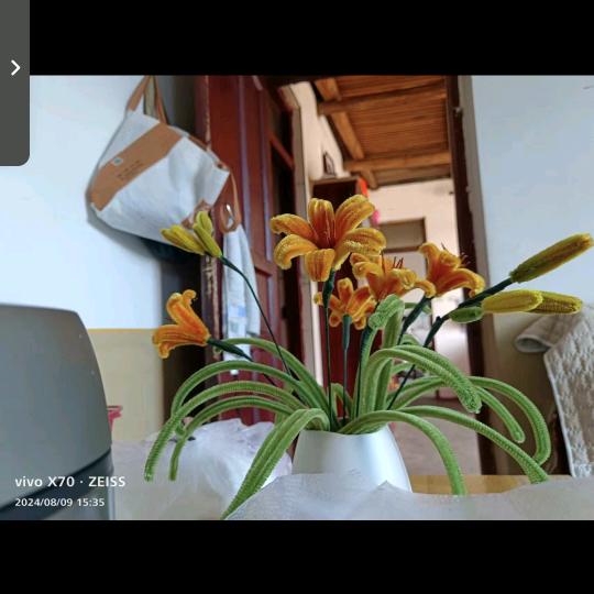 镇雄石娃养殖专业合作社