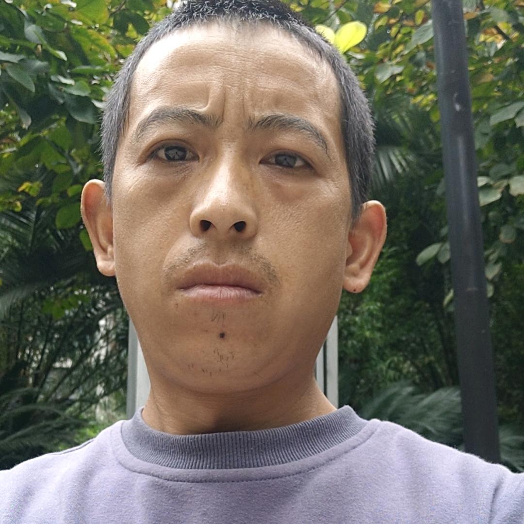 蓝智