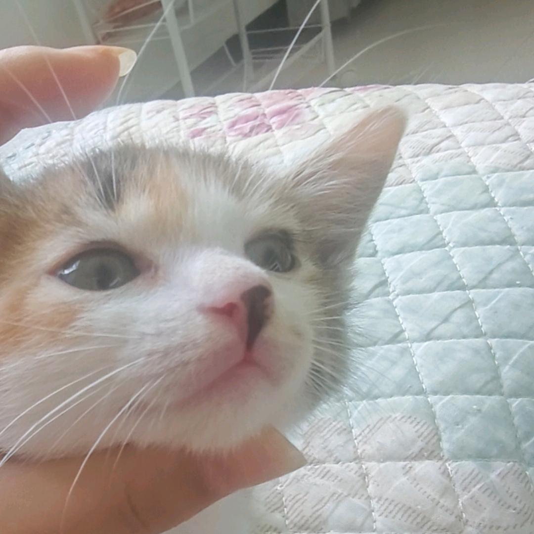 芜MM