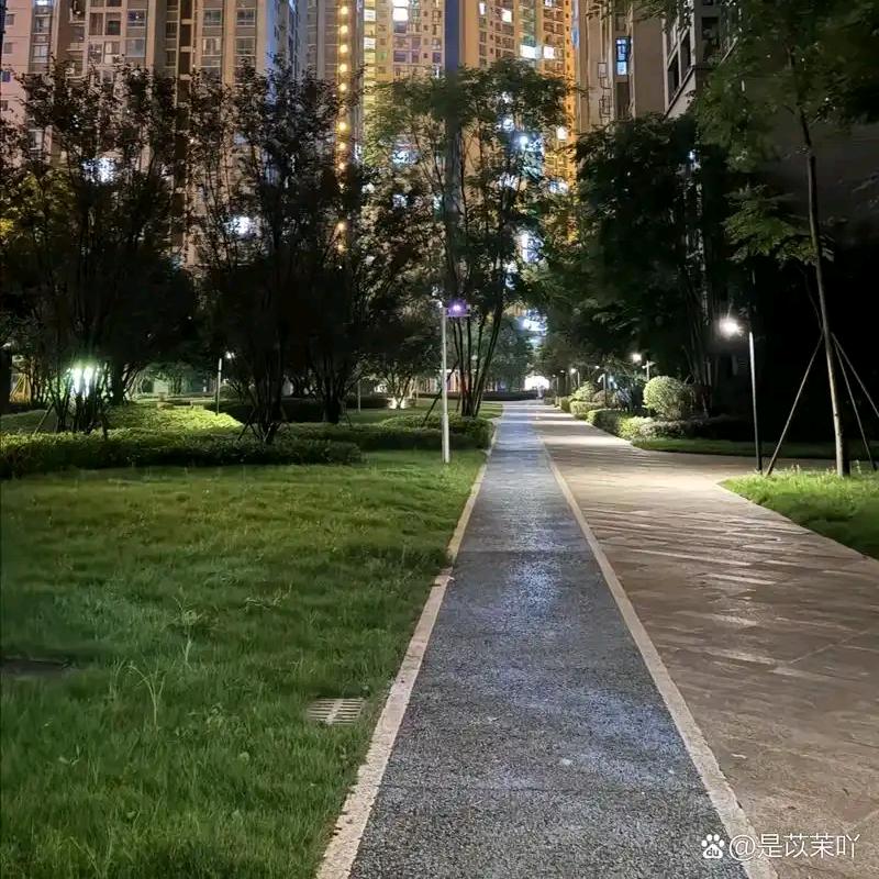 深情只是个笑话