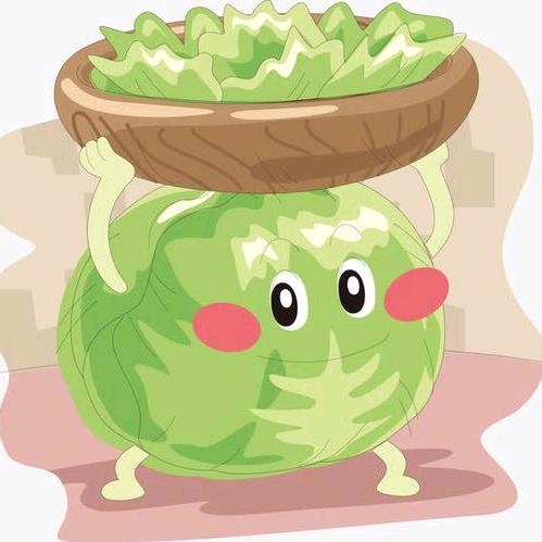 小包菜解说