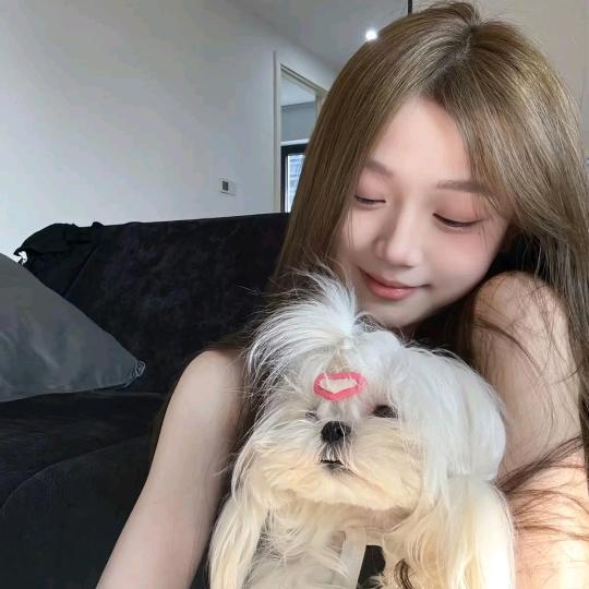 小白得宠🐶