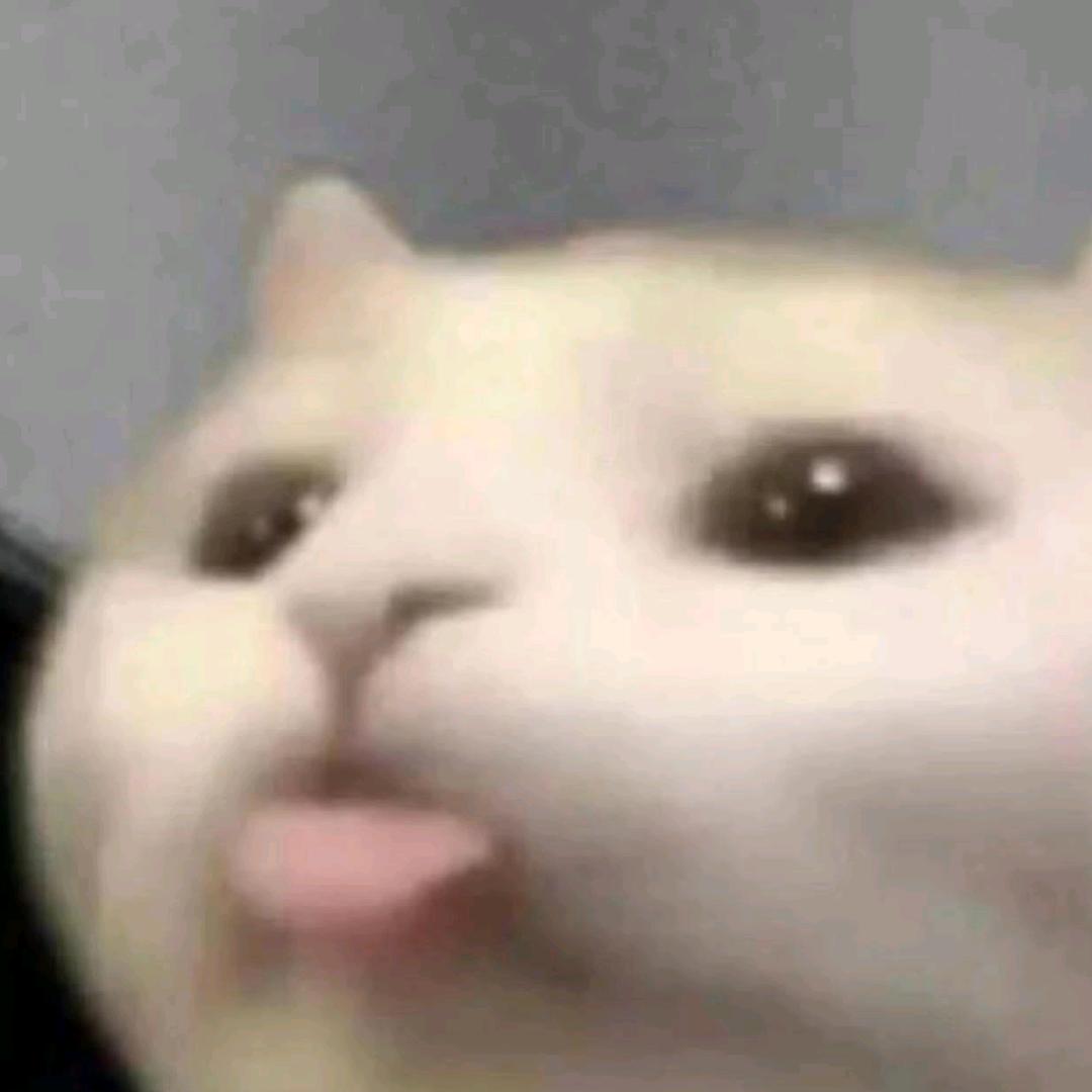 曳曳曳曳