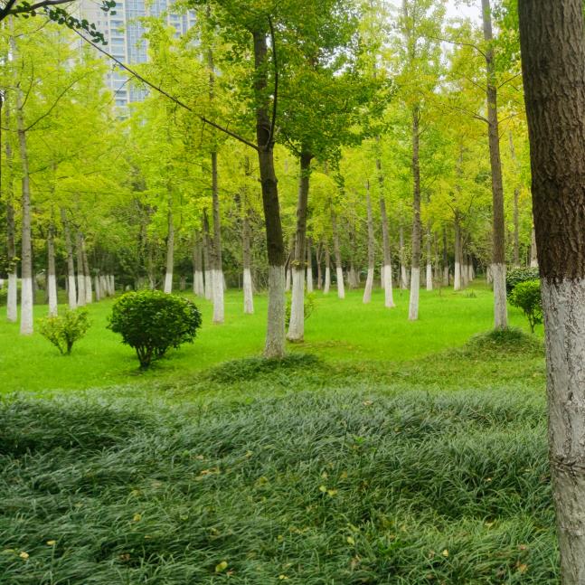 🌈￡鞦氺無痕ぷ