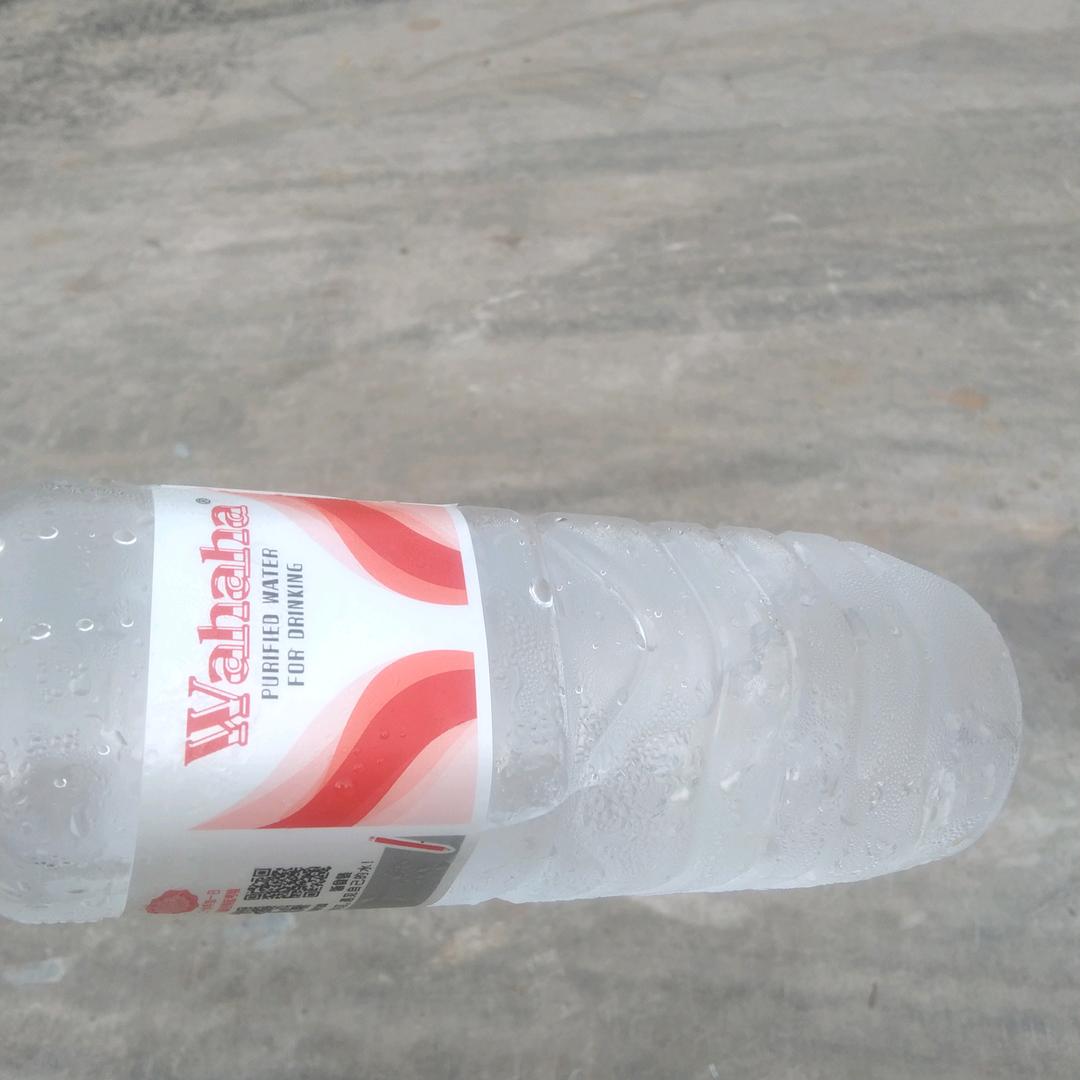 风里雨里