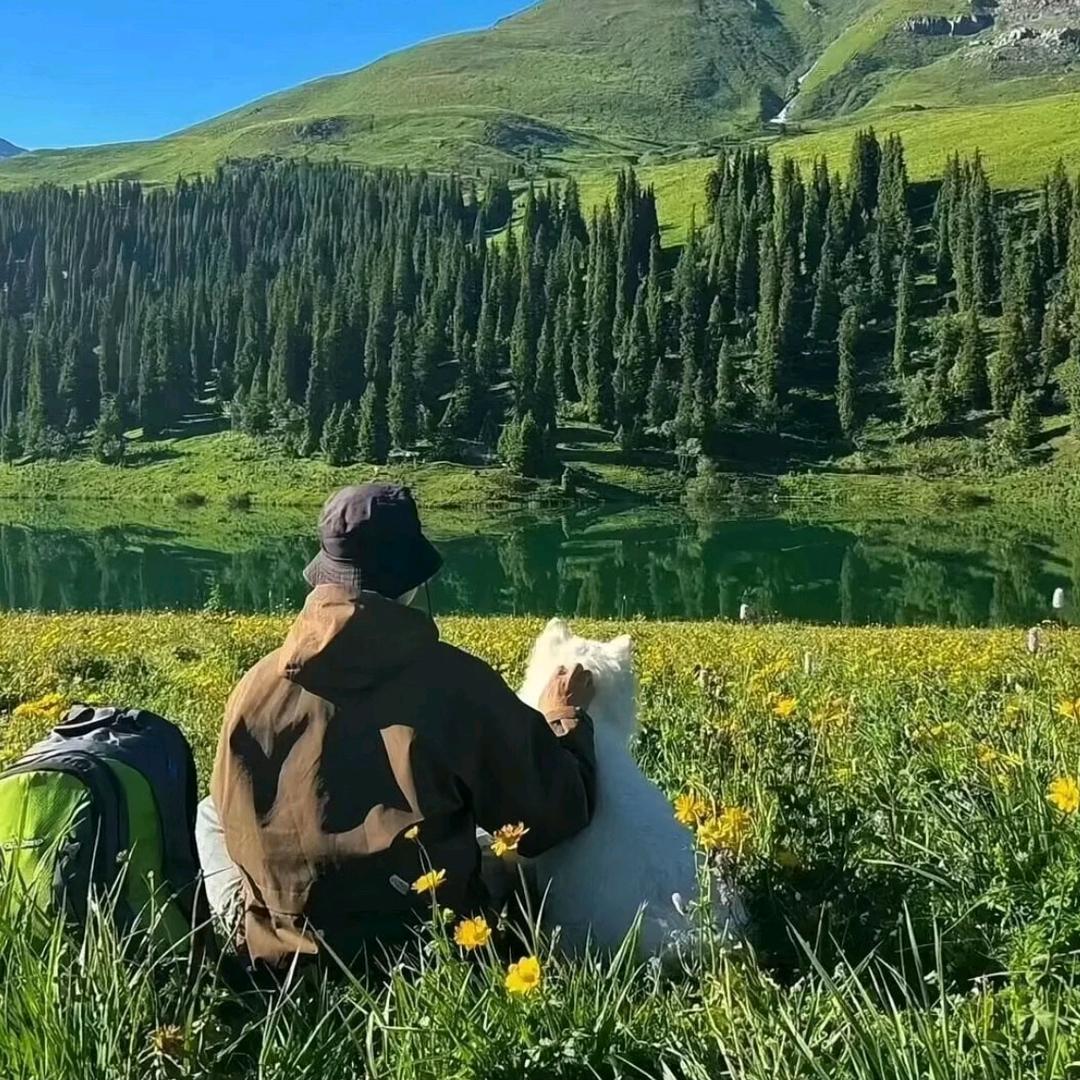得不到的爸爸