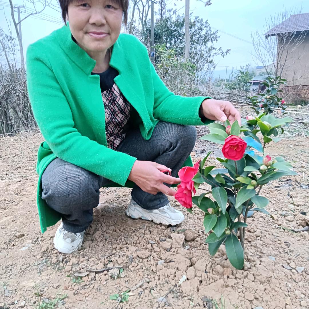 小方