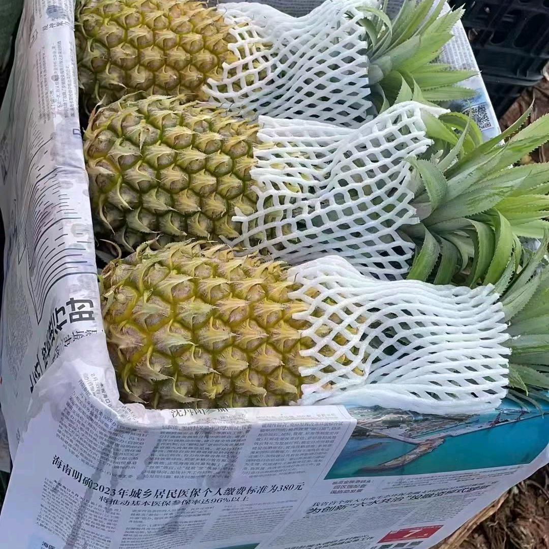 董攀峰