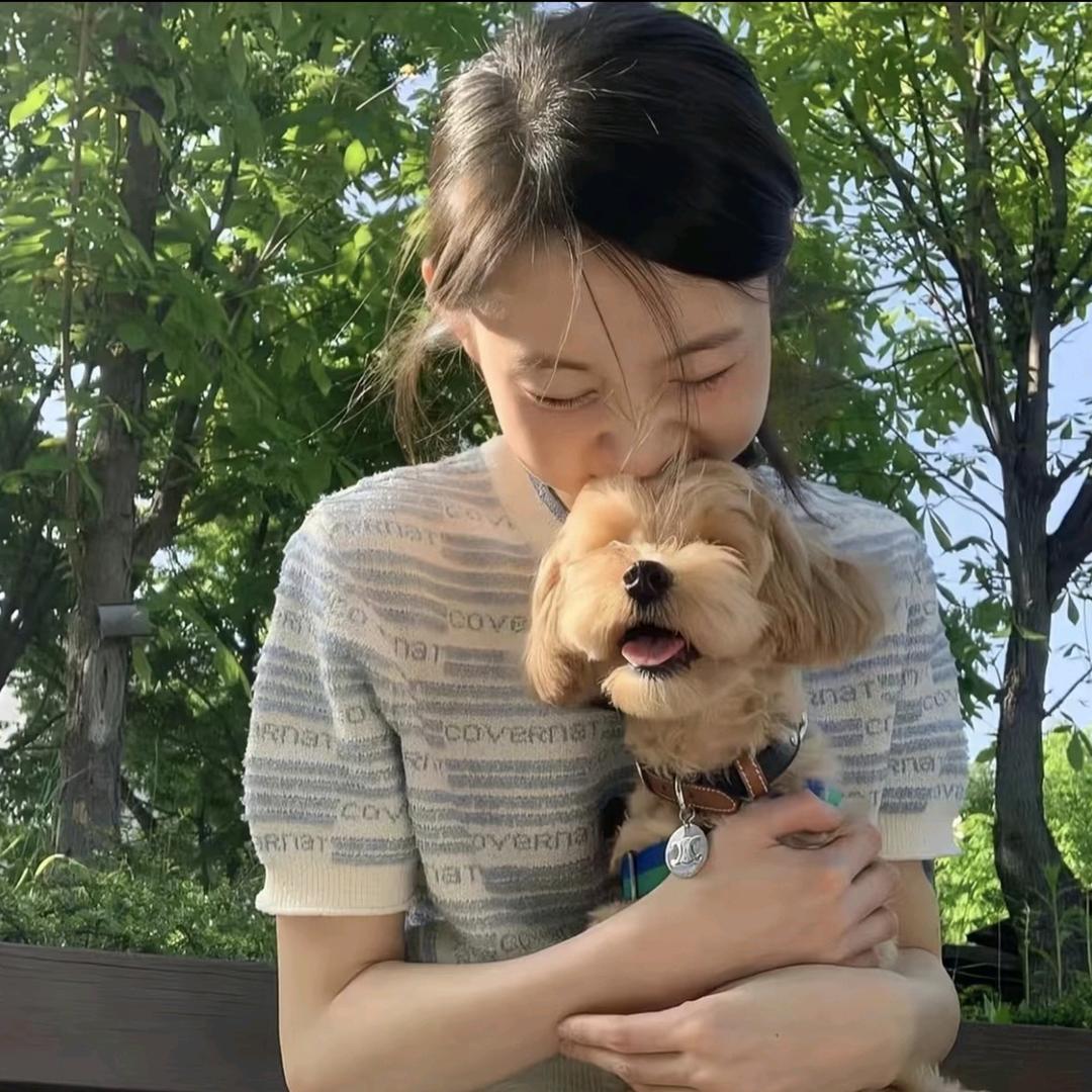 呆呆挞大王✨