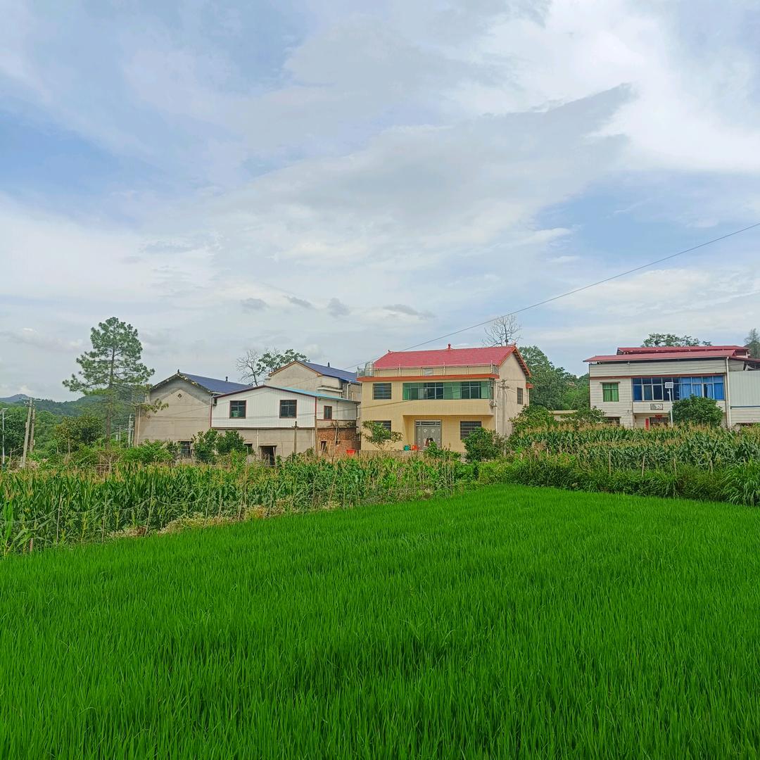 逆风而行的奋斗者