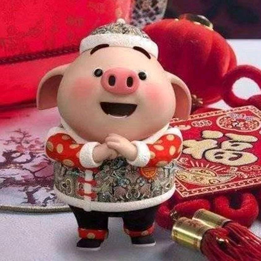 🔥Z快乐生活Z🔥