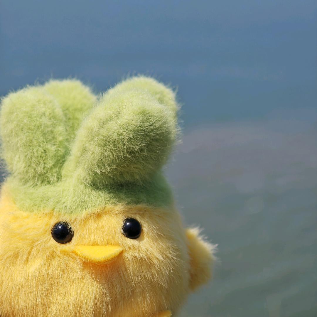 只喝冰过的汽水