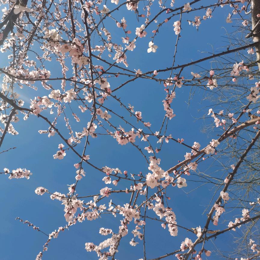 闫老师