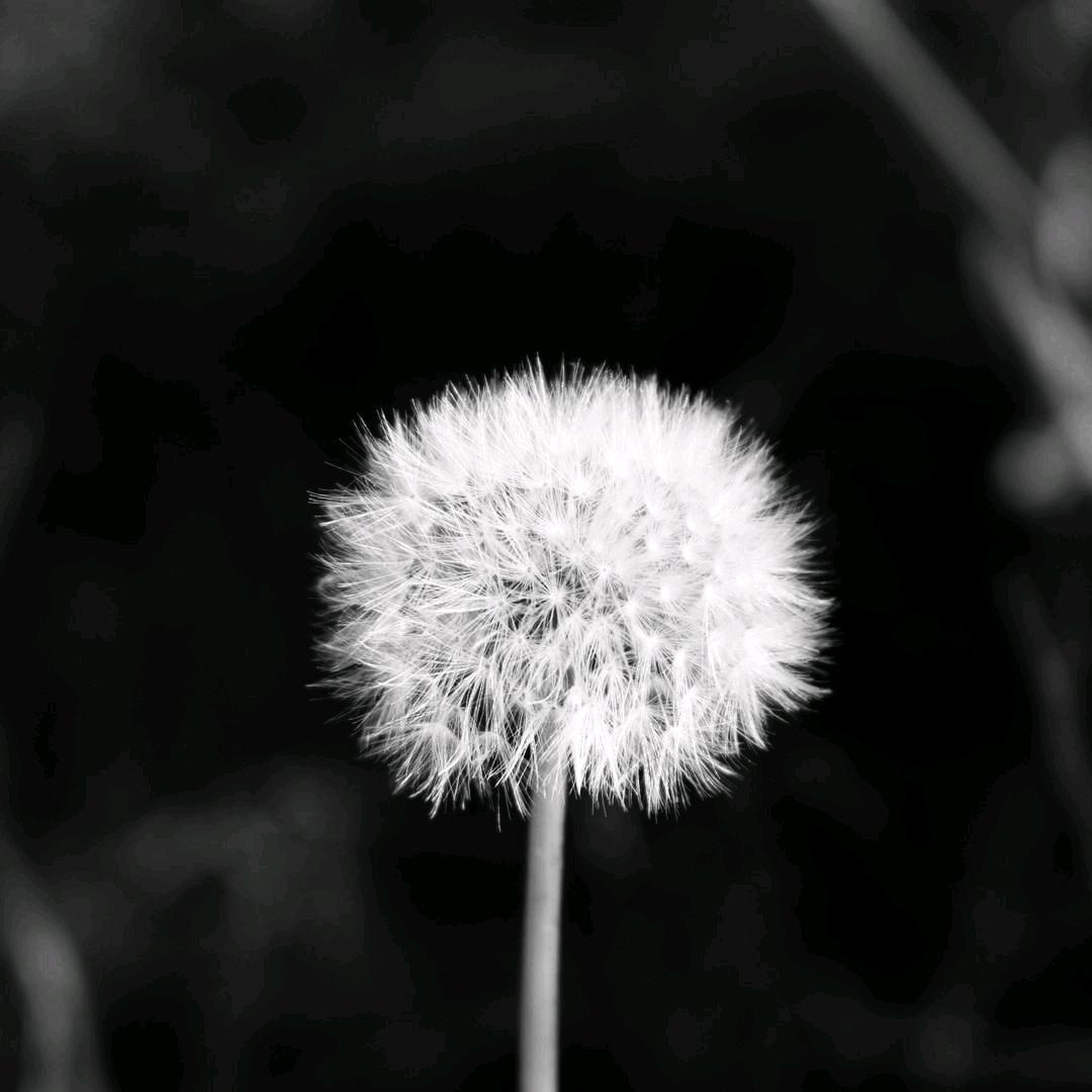 木y