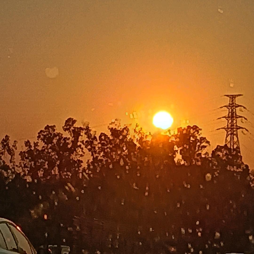 无情的我