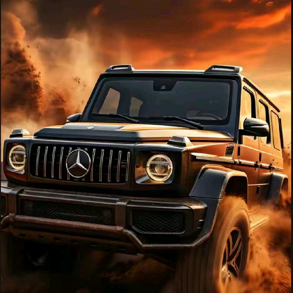 玫瑰]ℋ᭄ᝰꫛꫀꪝ