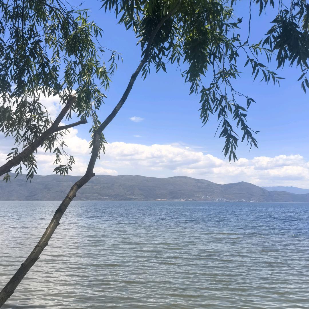 商超供应链的头像