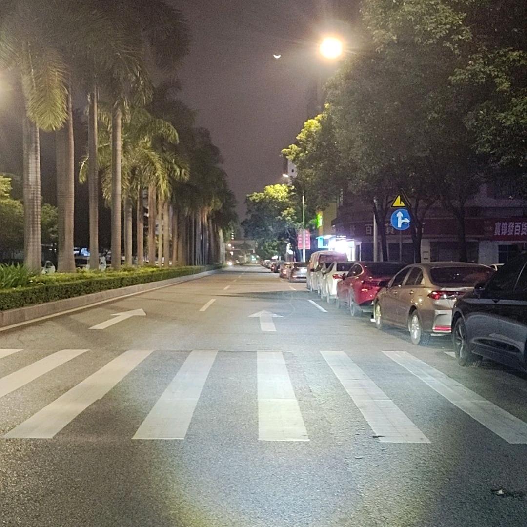 萌新的自我修养