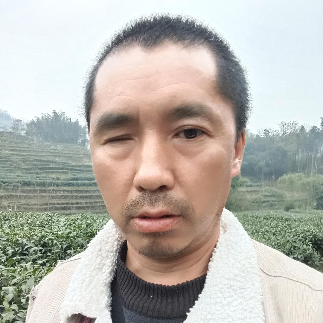 茶农哥