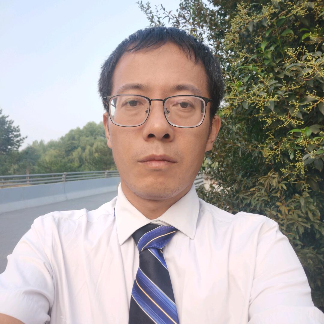 飞鸽小说
