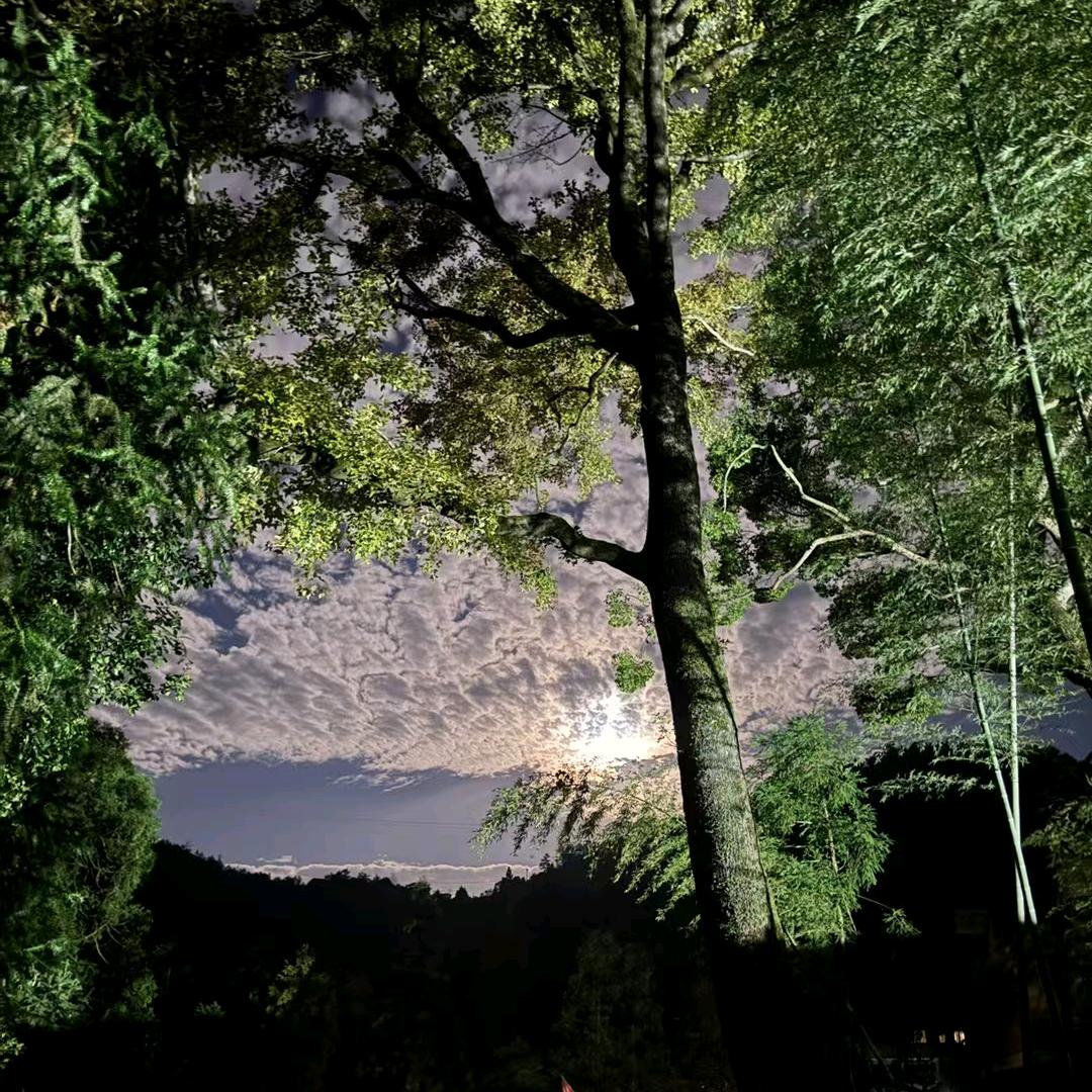 破