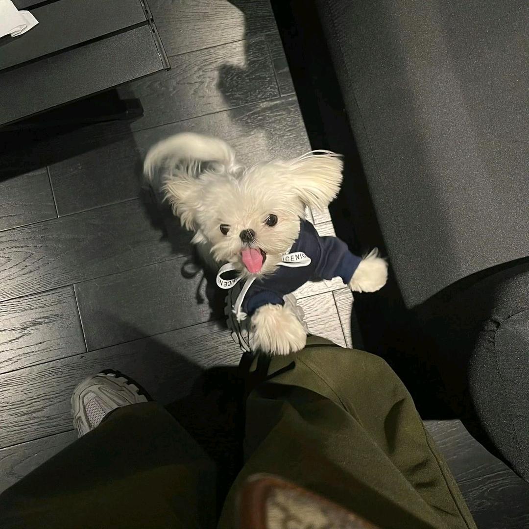 下次见