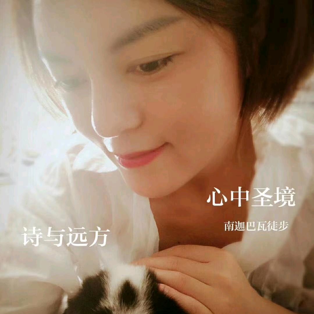 会会丫（初心）