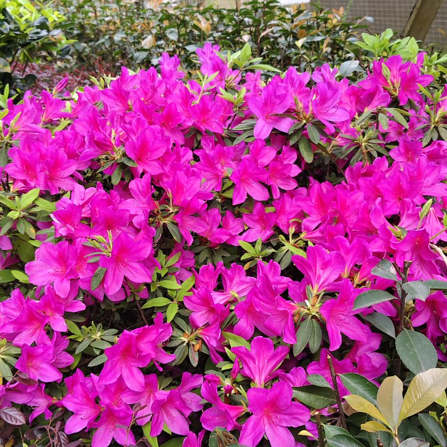 有你们是我的福气。