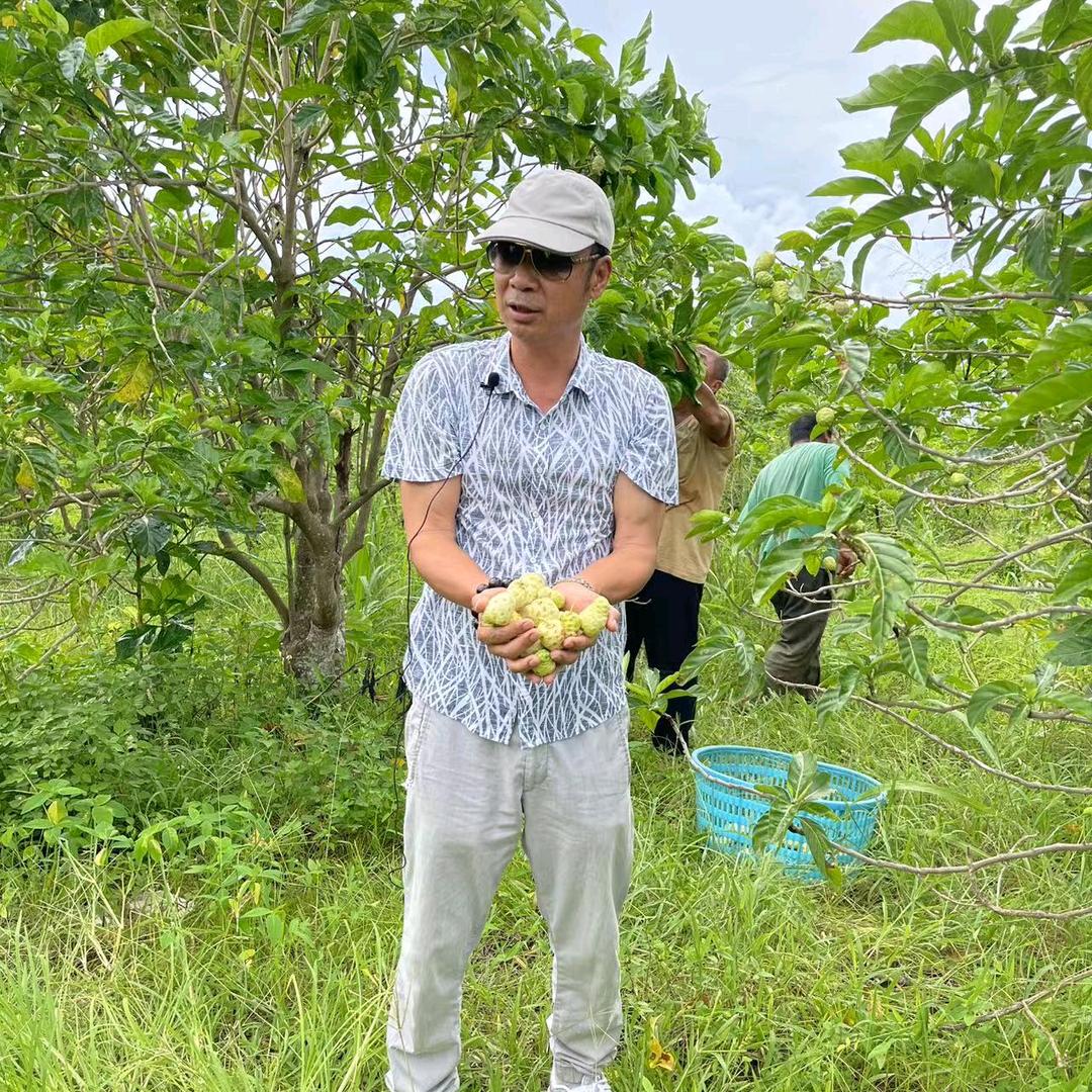 塞班黄岛主专选