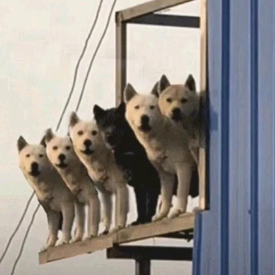 想不出来网名该叫啥