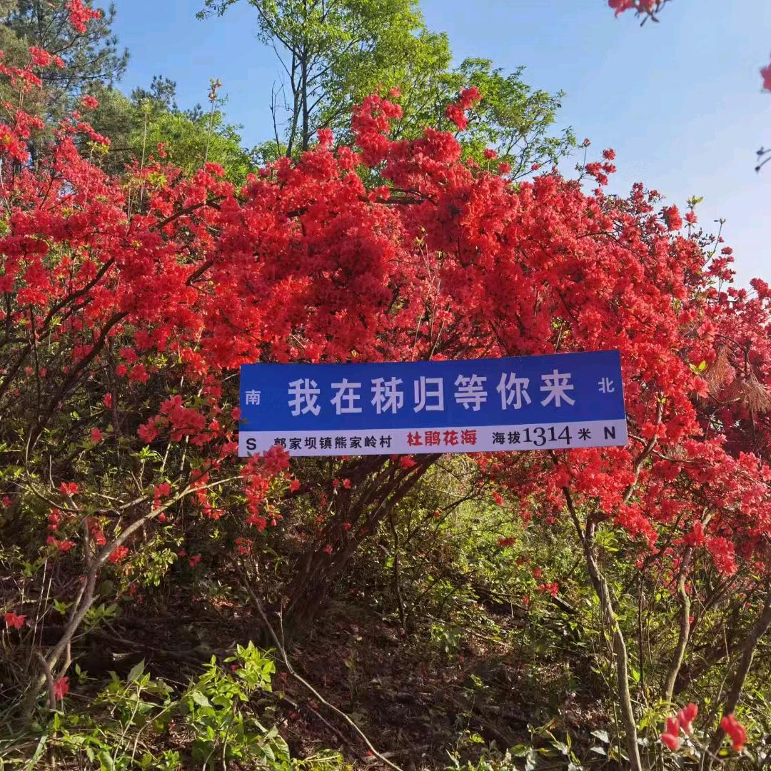 熊家岭村三组徐启发
