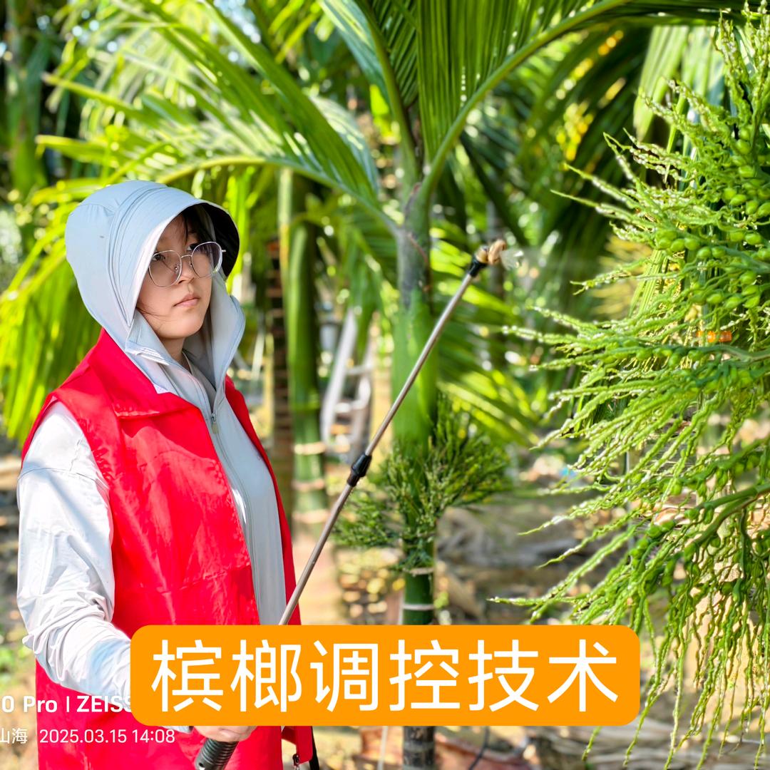 槟榔调控技术在线
