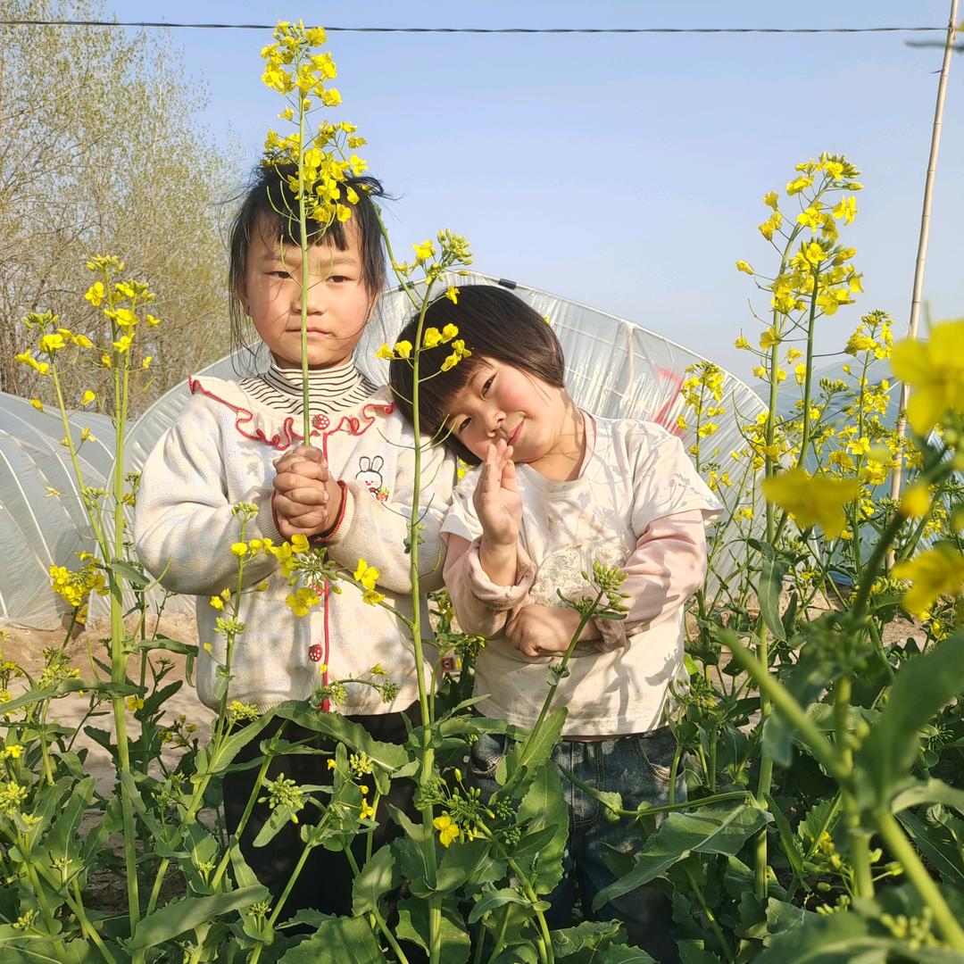 潦草半生一身无