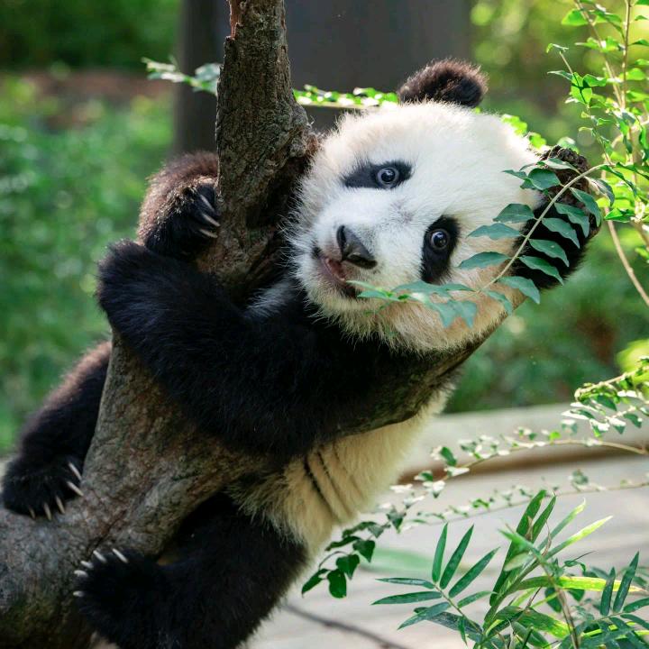 一 一